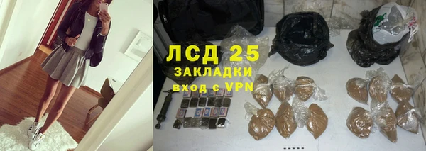 ГАЛЛЮЦИНОГЕННЫЕ ГРИБЫ Абаза