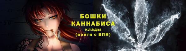ГАЛЛЮЦИНОГЕННЫЕ ГРИБЫ Абаза