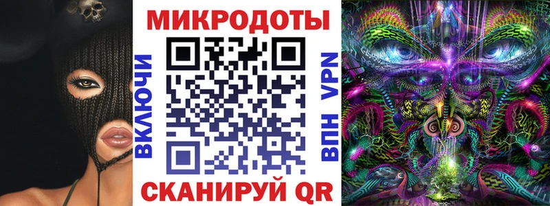 наркотики  Каменногорск  Псилоцибиновые грибы Psilocybe 